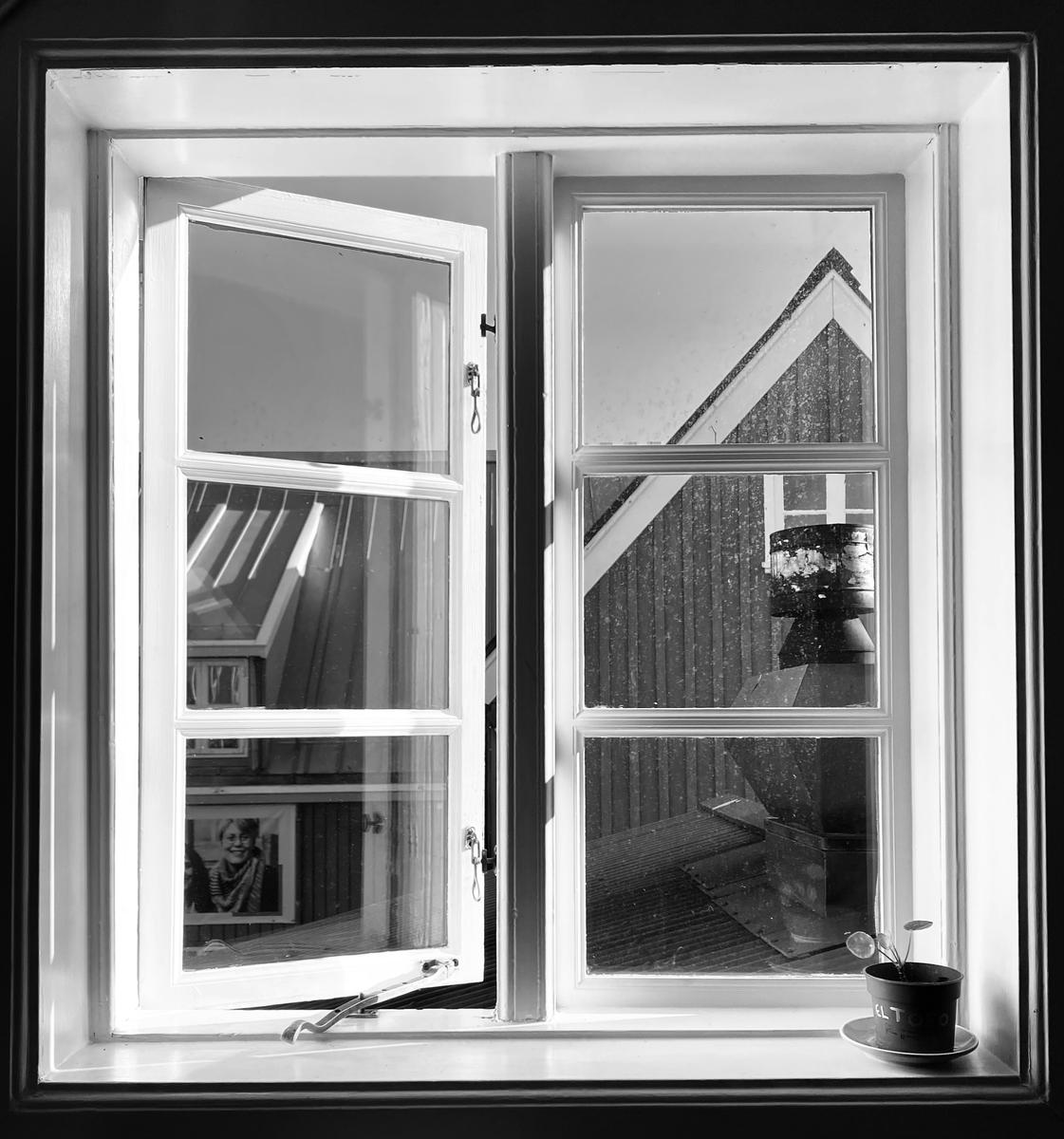 2022-07-26_a-window-with-a-cat-in-it-yb8lomifhas.jpg