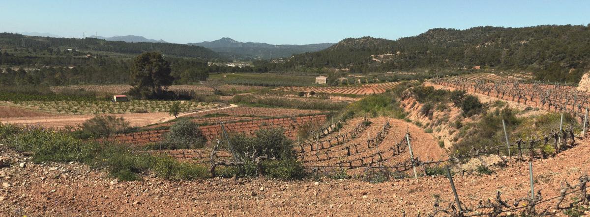 Frontera entre Priorat i Ribera d'Ebre