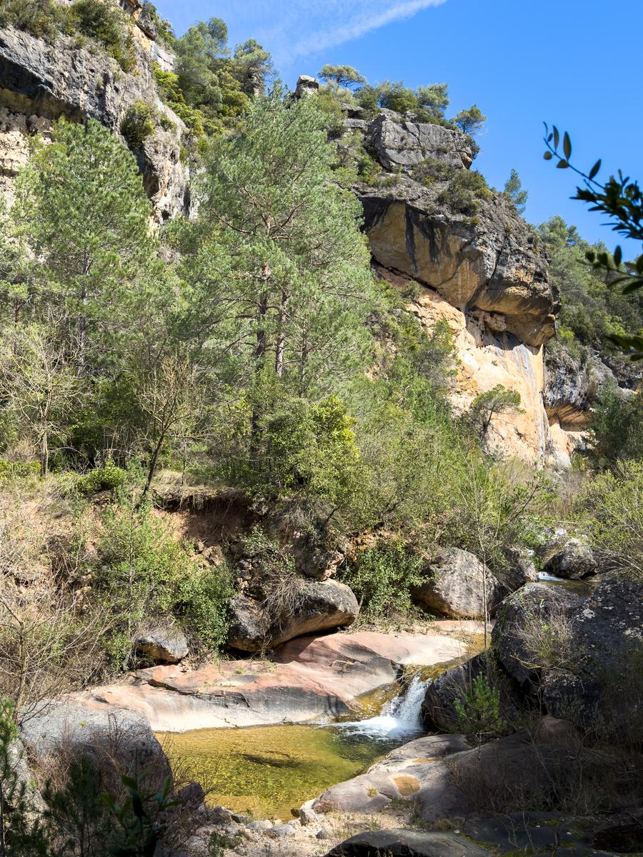 Cabecera del río Siurana (La Febró)