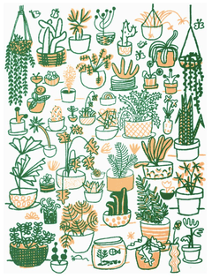PLANT FAMILY by People I've Loved
