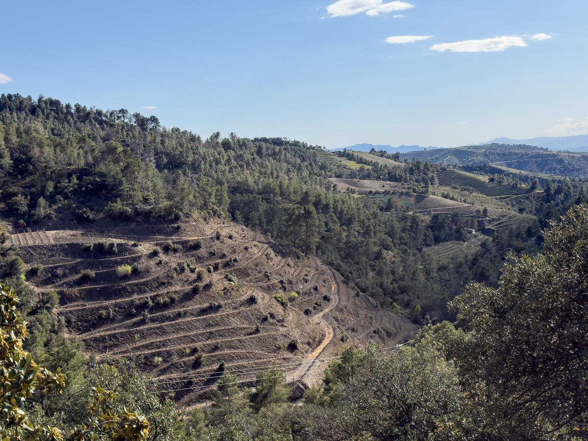 Torroja del Priorat