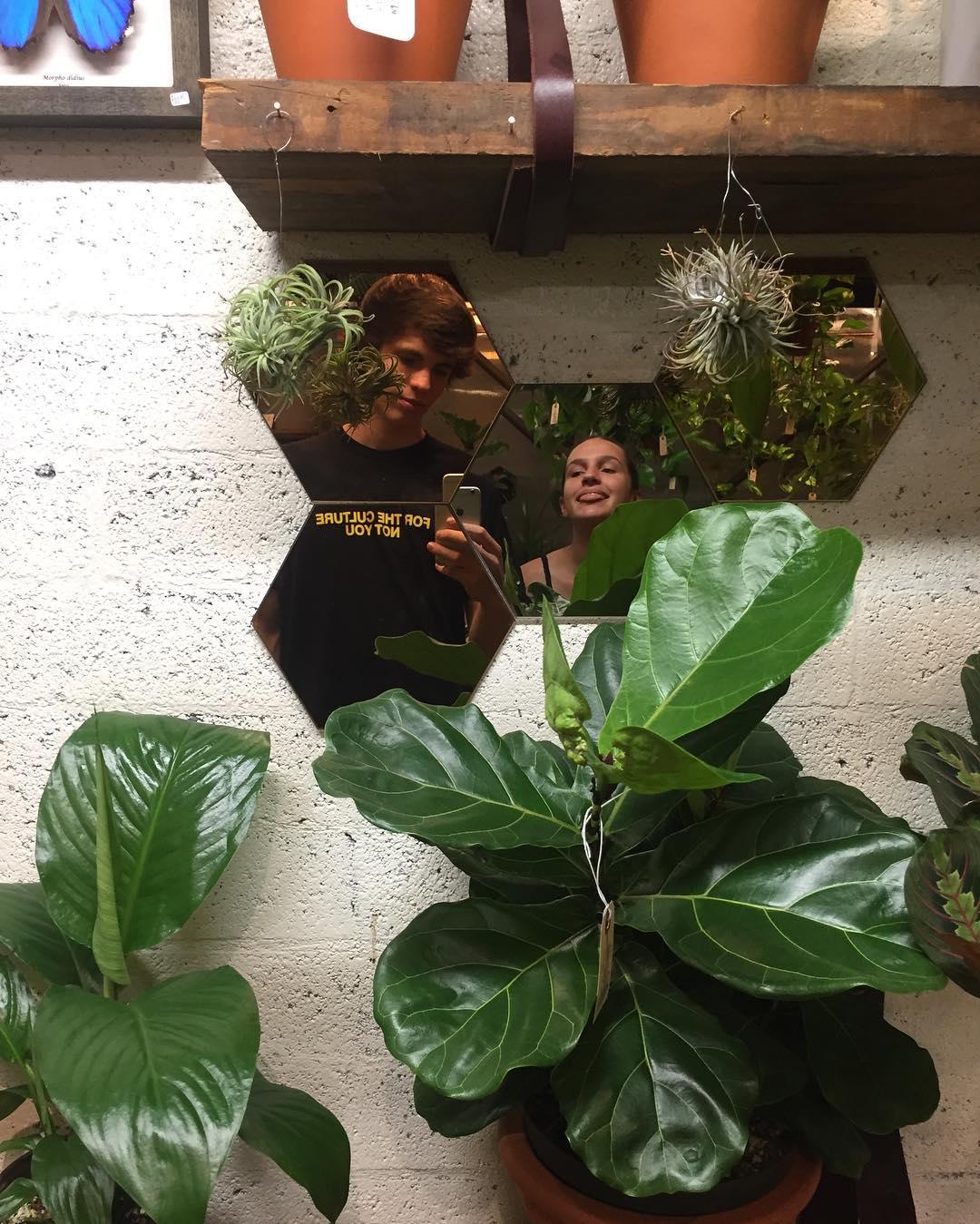 plants