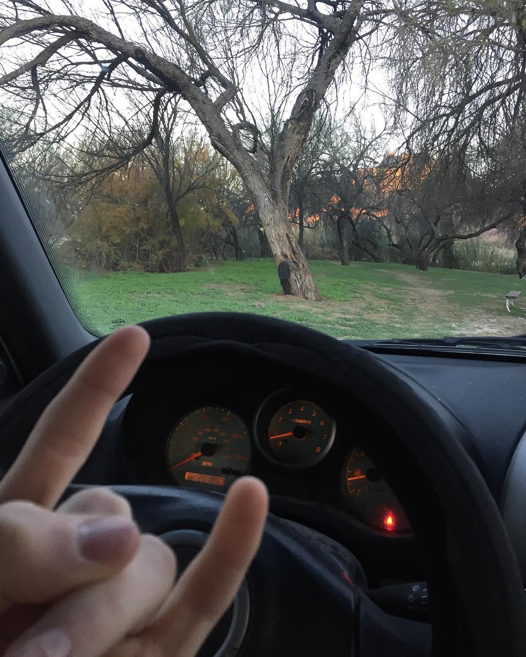 sunrise shoot shoutout nature and stuff