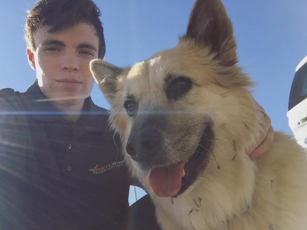 this is dingo