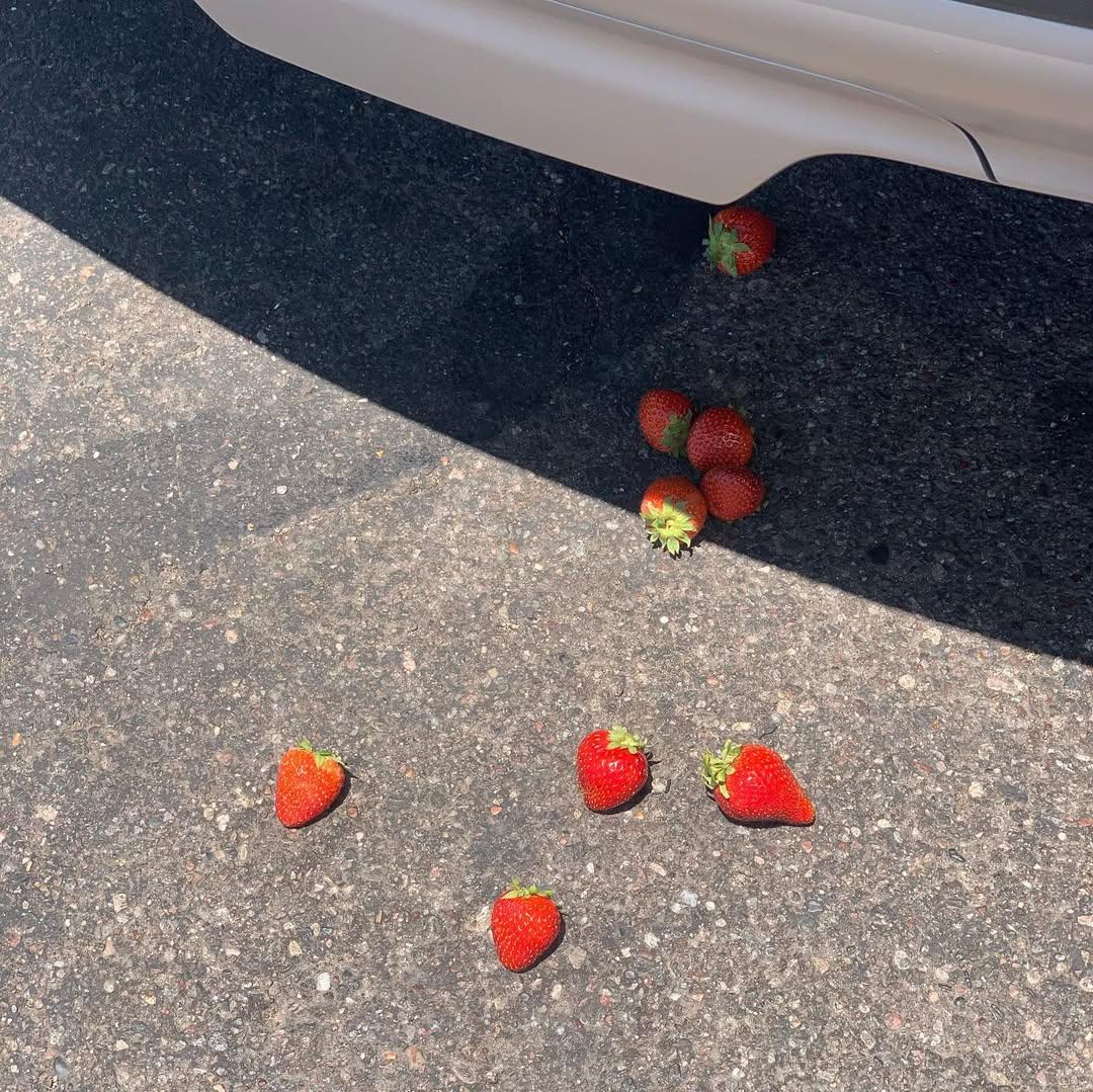 Media item 6 from July 14, 2020 at 4:27 PM