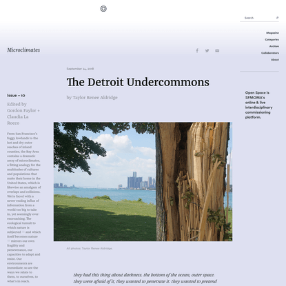 The Detroit Undercommons