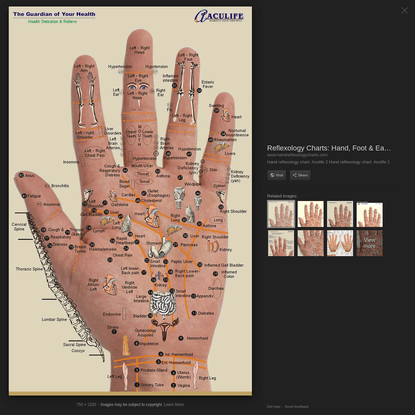 Google Image Result for http://www.handreflexologycharts.com/charts/hand-reflexology-chart-aculife.jpg