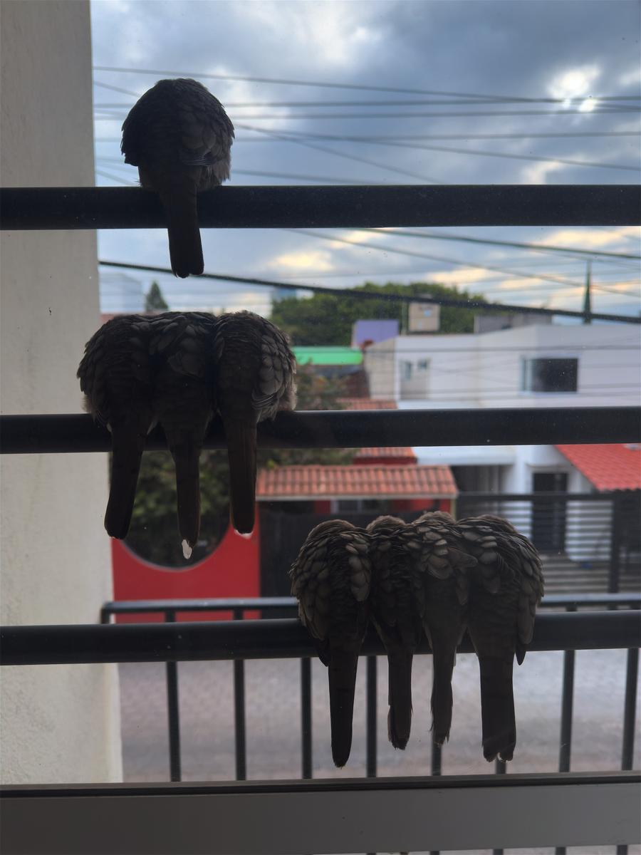 Photo 46470263