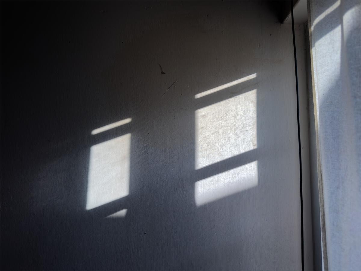 Photo 46470285