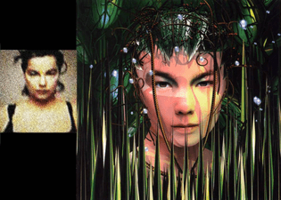 Bjork Bachelorette single with source photo by Paul White at Me Company
