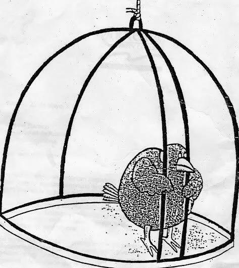 the cage is open. why are you still in there? | tala's blog