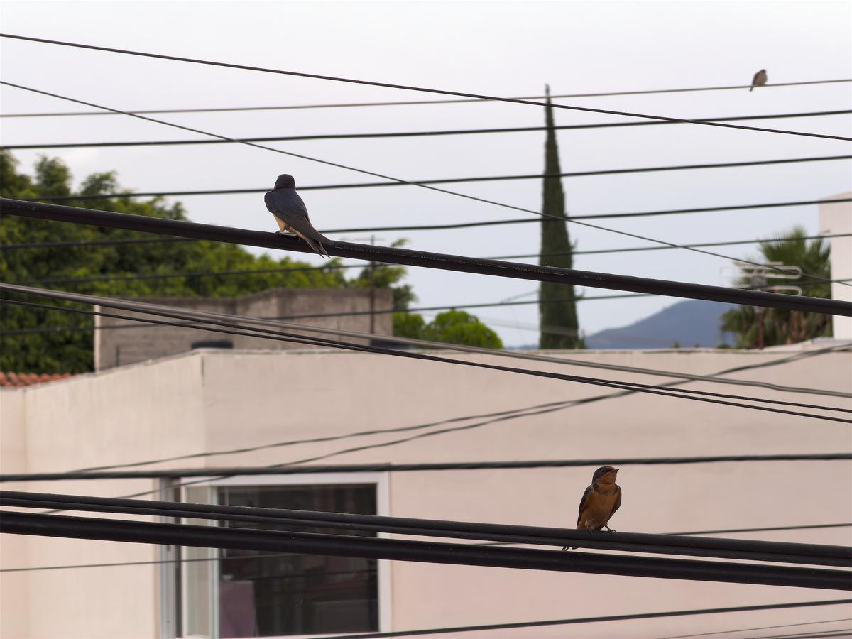 Photo 46785077