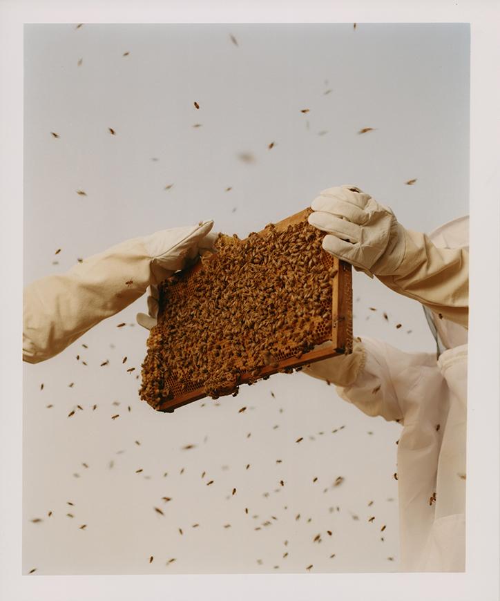 jin-jia-ji-bal-work-photography-itsnicethat-06.jpg?1562143691