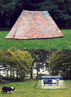 optical_illusion_tent.jpg
