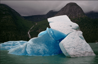 Ian Berry USA. Alaska. Nr Juneau. Tracy Arm Fjord. Large iceberg which has calved off the South Sawyer Glacier.