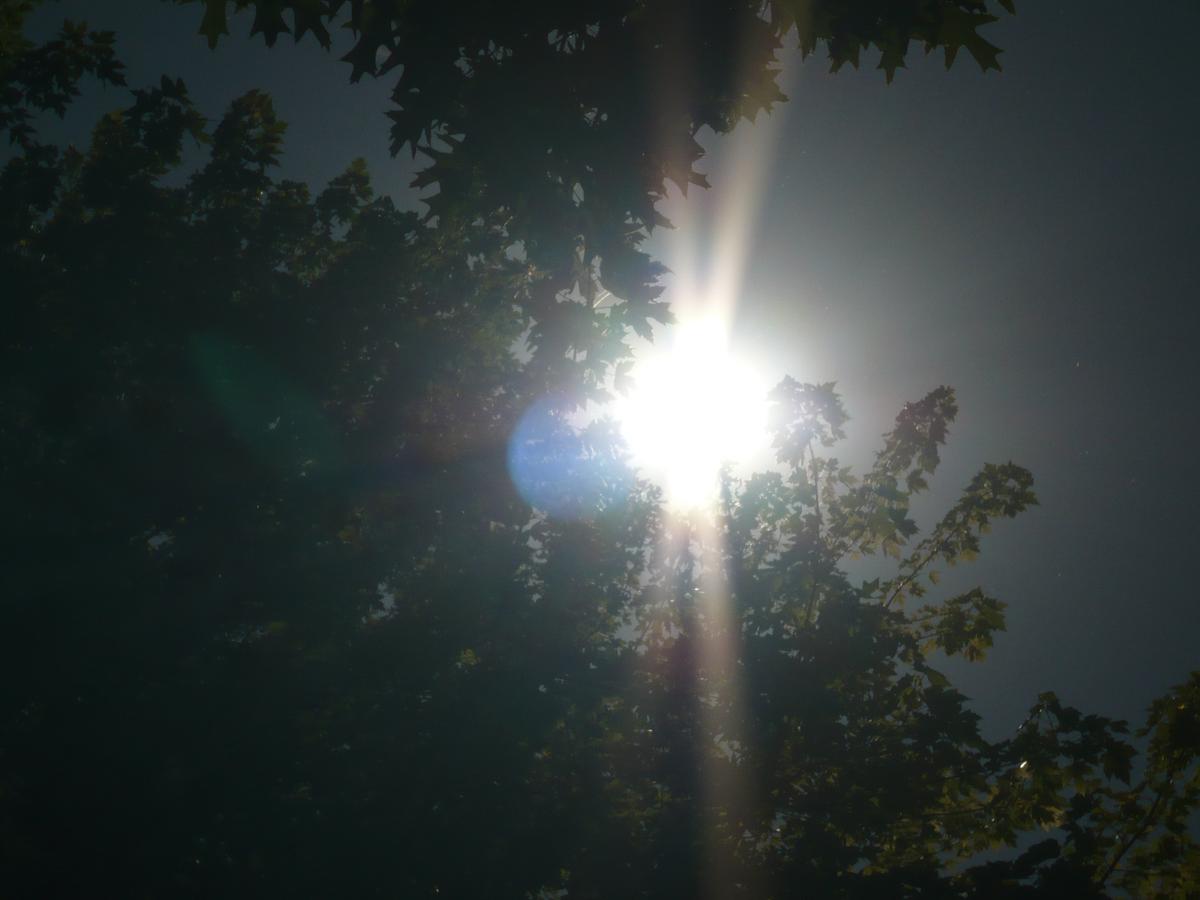 P1000094