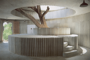 bo-bardi-concrete-and-tree.jpg