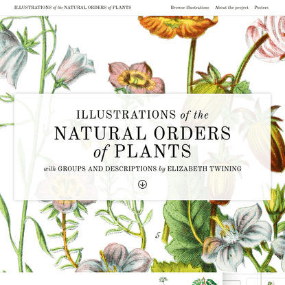 Illustrations of the Natural Orders of Plants