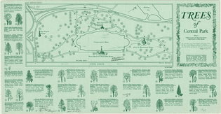 Trees of Central Park (1967)