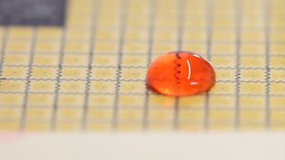 Programmable Droplets for Interaction