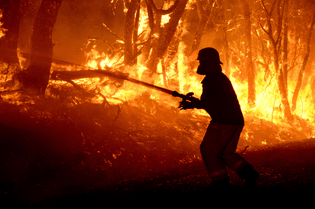 bt-climate-change-bushfire.jpg
