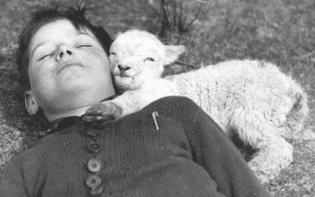 black-and-white-grayscale-sleeping-boys-lambs-baby-animals-old-photography-children_wallpaperwind.com_21-400x250.jpg