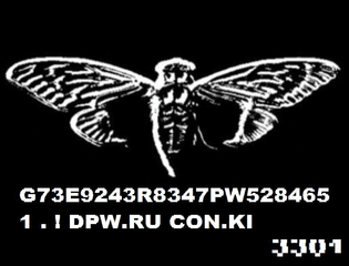 cicada3301.jpg