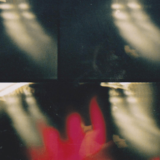 forest_walker-uv-sea.jpg