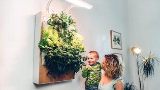 Herbert – Grow fresh organic food at home by Ponix Systems — Kickstarter