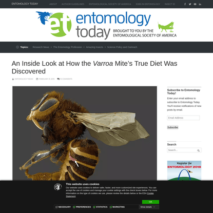 An Inside Look at How the Varroa Mite's True Diet Was Discovered