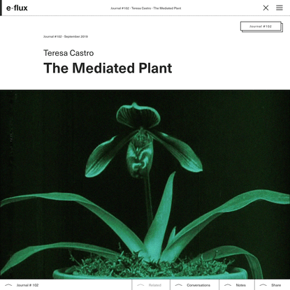 The Mediated Plant