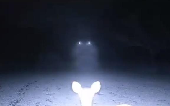deer-ufo.jpg