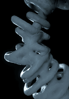 bone.jpg