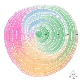 Simulated Dendrochronology of U.S. Immigration 1790-2016 by National Geographic, Northeastern University