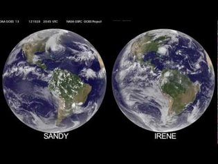 Sandy's CT Scan, and Other Vital Images