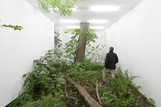 fabian knecht - isolation (52°33’44.1”N 14°03’12.8”E) III