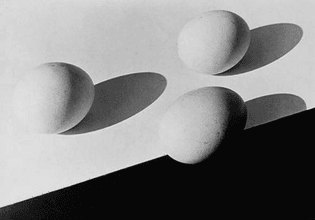 Aenne Biermann, Eggs (1932)