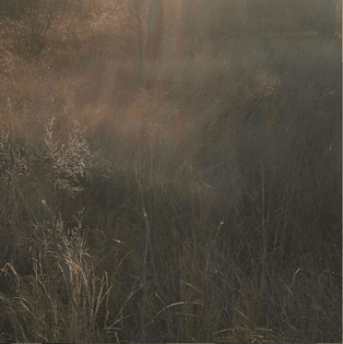 screen-shot-2019-09-27-at-11.45.42-am.png