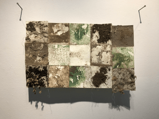 Patchy anthropocene: soilscape quilt  