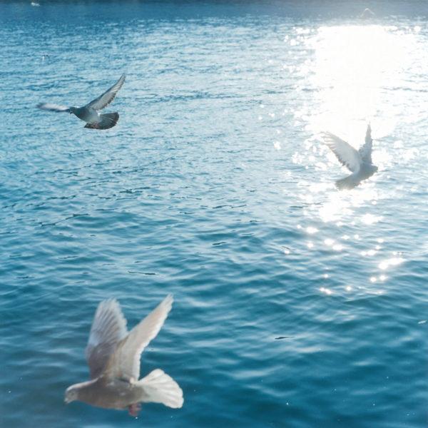Rinko Kawauchi, Illuminance