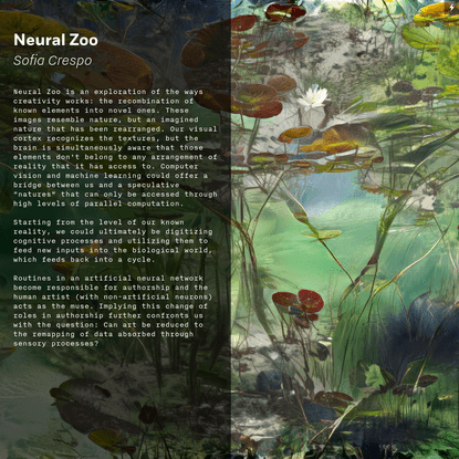 Neural Zoo