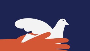 The Economics of Evolution: The Perfect Pigeon