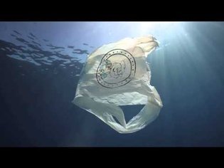 Ocean Plastic