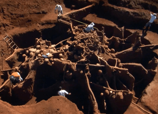 giant-ant-hill-excavated-1024x739.jpg