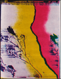 Sonia Landy Sheridan, Telecopier Stretched Plant, 1973-1974, 3M Color-In-Color on paper