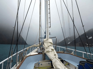 antarctica-fog.jpg