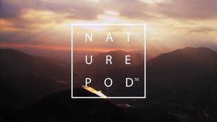 NaturePod