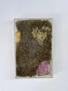 untitled-quartz-_-queen-annes-lace-2016-dried-moss-flowers-quartz-watercolor-paint-in-found-cassette-tape-4-25x2-75x-63-in.jpg