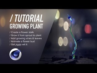 ( / ) C4D TUTORIAL - Growing Plant