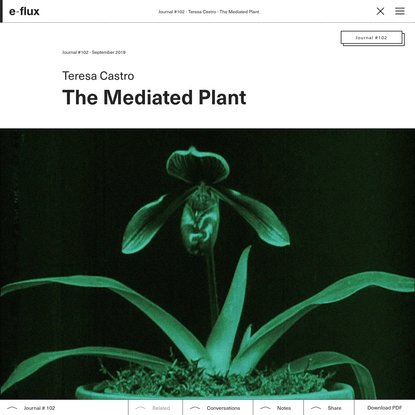 The Mediated Plant